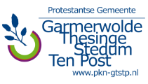 Logo GTSTP